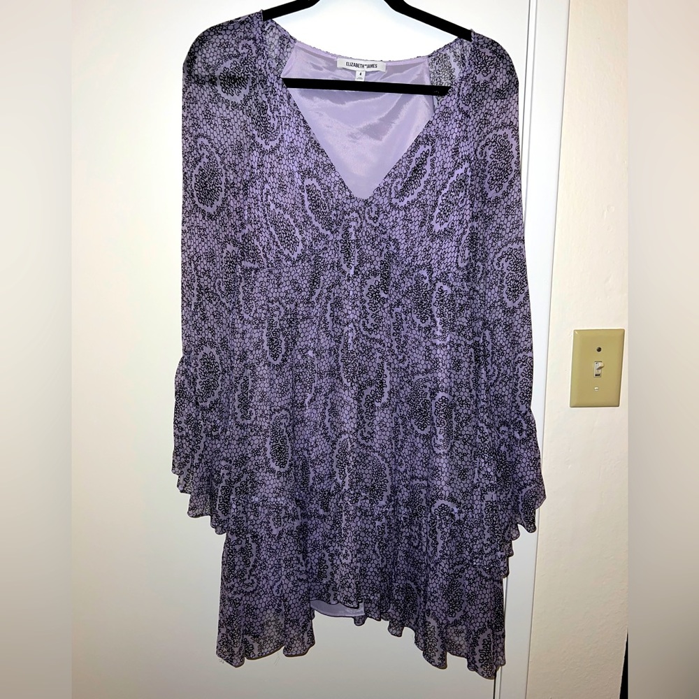 Elizabeth and James long sleeve minidress size 4